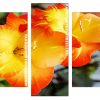 Orange and Yellow Gladiola panels paint by numbers