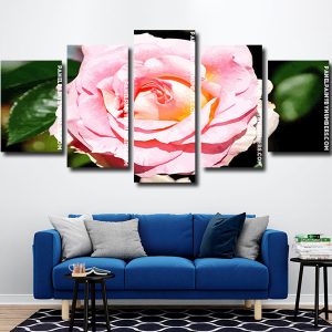 Pink Floribunda Rose Panel paint by numbers