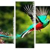 Quetzal bird flying Panels paint by numbers