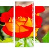 Red And Yellow Floribunda Panels paint by numbers