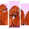 Rhodesian Ridgeback puppies Panels paint by numbers