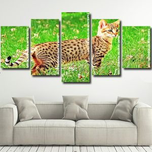 Savannah cat animal Panel paint by numbers