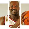 Shaquille ONeal basketball player Panels paint by numbers