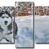 Siberian Husky dog Panels paint by numbers