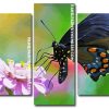 Spicebush Swallowtail On Flower panel paint by numbers