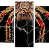 Spider In Web panels paint by numbers