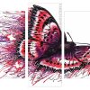 Splatter Butterfly Panel paint by numbers