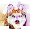 Splatter Husky Panels paint by numbers