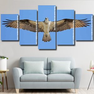 The Osprey Bird panels paint by numbers