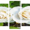 White Blooming Floribunda flower Panels paint by numbers