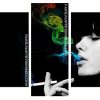 Woman Smoking Colorful Smoke panels paint by numbers