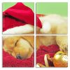 Adorable Sleepy Puppy panels paint by numbers