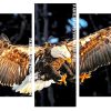 bald eagle Flying Panels paint by numbers