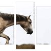 beige brumby horse Panels paint by numbers