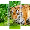 bengal tiger in the water panels paint by numbers