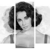 black and white Elizabeth Taylor Panels paint by numbers