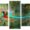 blue tail Quetzal Panels paint by numbers