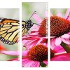 butterfly In Pink Flower panels paint by numbers