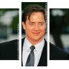 classy Brendan Fraser actor Panels paint by numbers