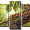 clouded leopard Panels paint by numbers