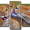 cute lions Panels paint by numbers