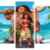 Disney Moana Movie Panels paint by numbers