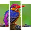 Dwarf Kingfisher panels paint by numbers