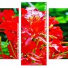 flamboyant flower plant Panels paint by numbers