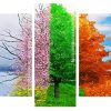 Four Seasons Tree panels paint by numbers