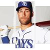 kevin kiermaier rays panels paint by numbers