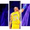 kobe bryant Panels paint by numbers