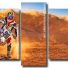 motocross race Panels paint by numbers