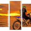 motorcyclist At sunset panels paint by numbers