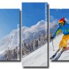 mountain skiing Panels paint by numbers