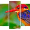 Oriental Dwarf Kingfisher On Stick Panels paint by numbers