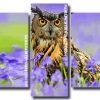 owl bird Panels paint by numbers