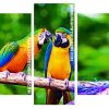 Parrot Couple panels paint by numbers