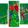 Red Parrots panels paint by numbers