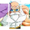 roshi dragon ball Panels paint by numbers