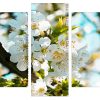 spring Flowers in tree Branch panels paint by numbers