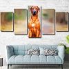 strong Rhodesian Ridgeback Panel paint by numbers