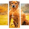 strong Rhodesian Ridgeback animal Panels paint by numbers