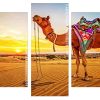 tall majestic camels basking in the desert heat Panels paint by numbers