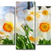 White Daffodils panels paint by numbers