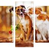 white and tan dogs Panels paint by numbers