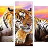 wild tiger Panels paint by numbers