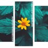 yellow Flower plant panels paint by numbers