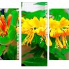 yellow Honeysuckle flower panels paint by numbers