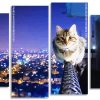 A Cat With City View At Night panels paint by numbers