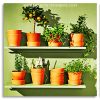 Aesthetic Plants Pot Panel paint by numbers